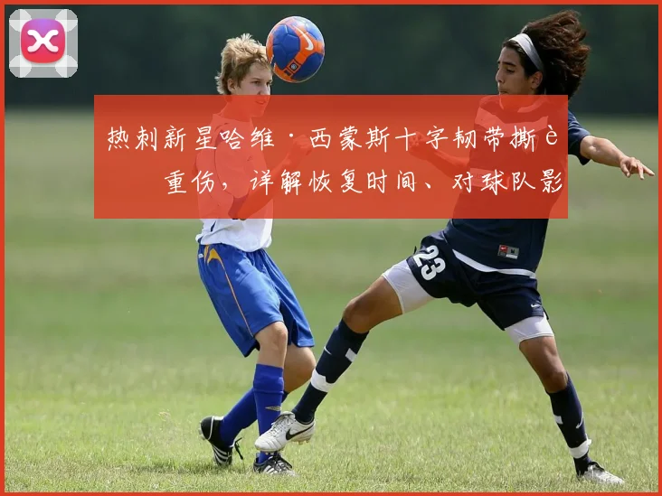热刺新星哈维·西蒙斯十字韧带撕裂重伤，详解恢复时间、对球队影响及潜在替代者分析
