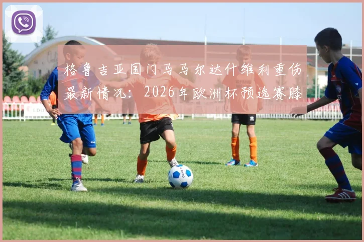 格鲁吉亚国门马马尔达什维利重伤最新情况:2026年欧洲杯预选赛膝盖深度创口,赛后被紧急送医